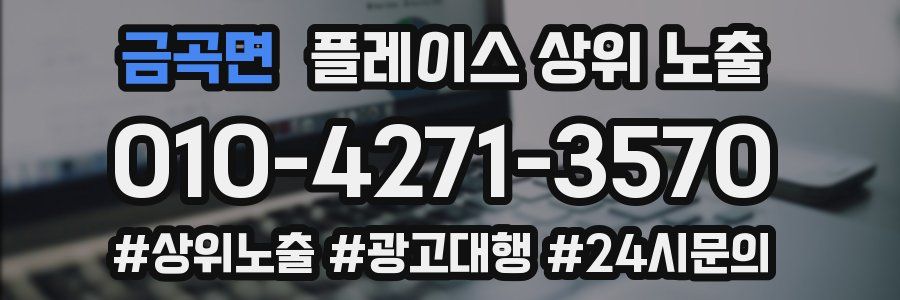 금곡면 플레이스 상위 노출