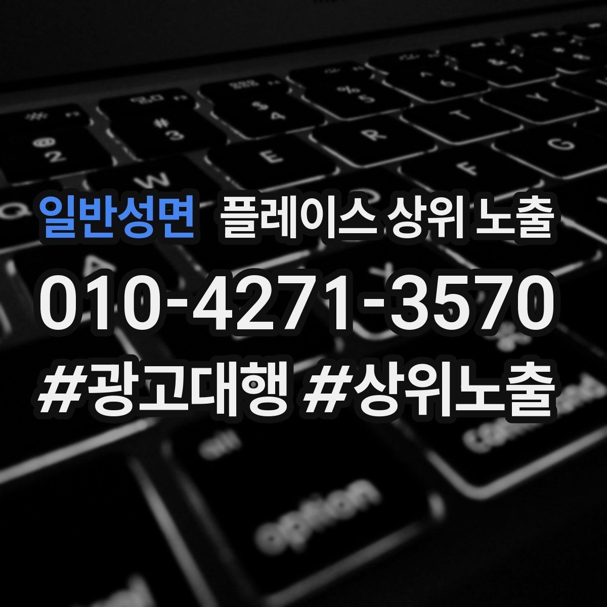 일반성면 플레이스 상위 노출 긴급 수요 업종의 프로필 구성 포인트