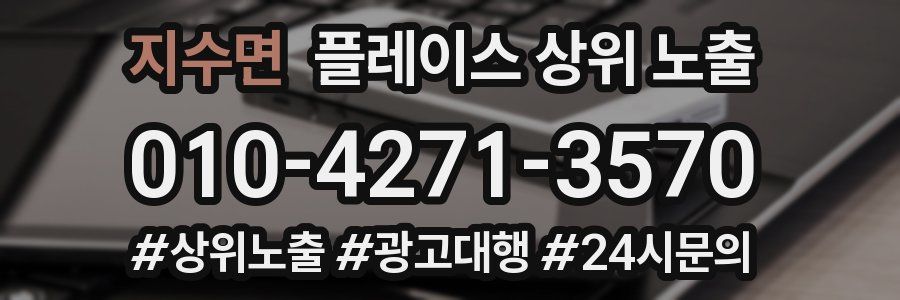 지수면 플레이스 상위 노출