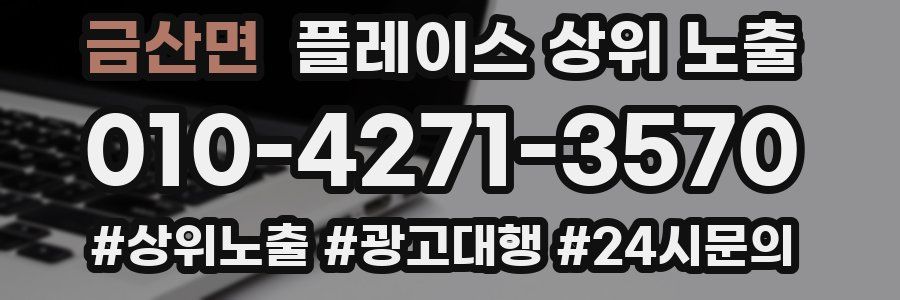 금산면 플레이스 상위 노출