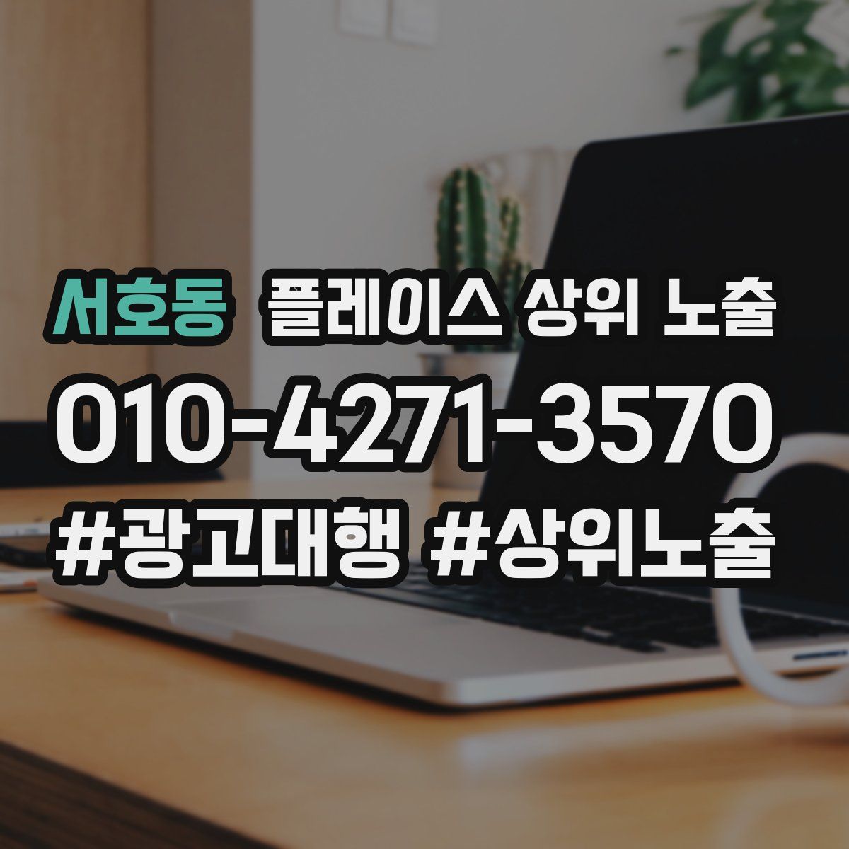 서호동 플레이스 상위 노출