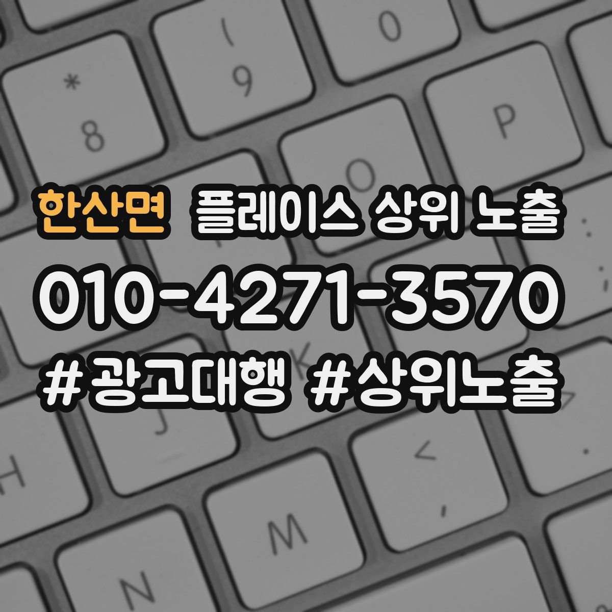 한산면 플레이스 상위 노출