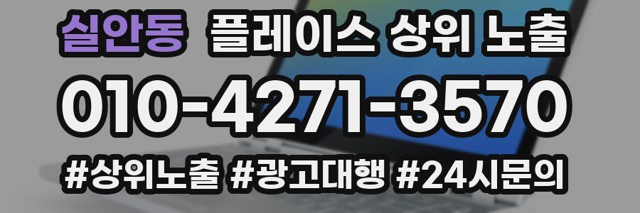 실안동 플레이스 상위 노출