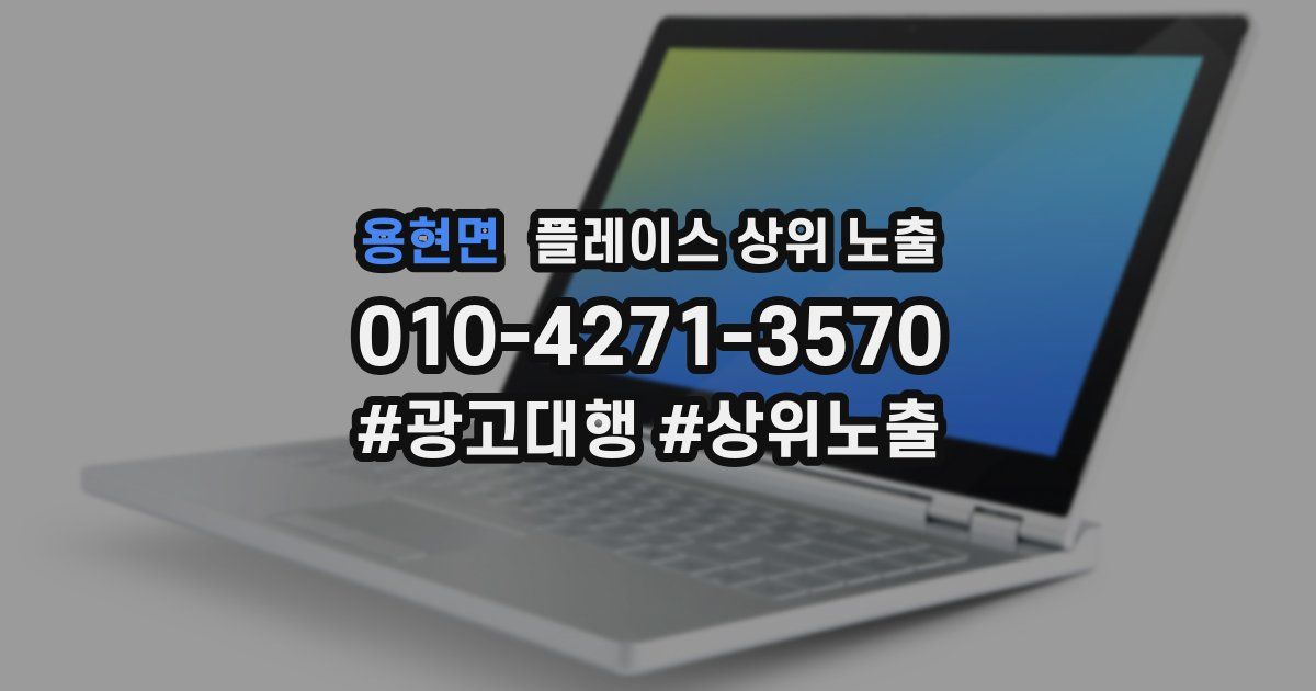 용현면 플레이스 상위 노출