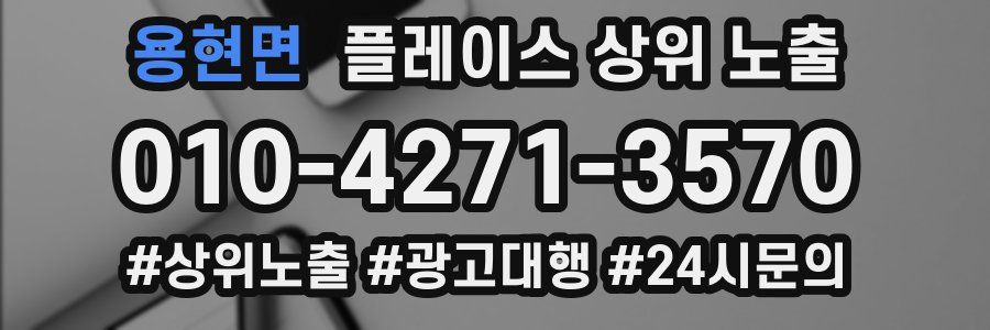 용현면 플레이스 상위 노출