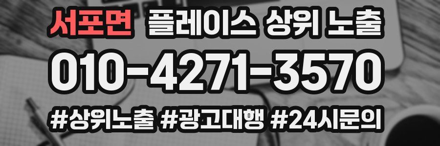 서포면 플레이스 상위 노출