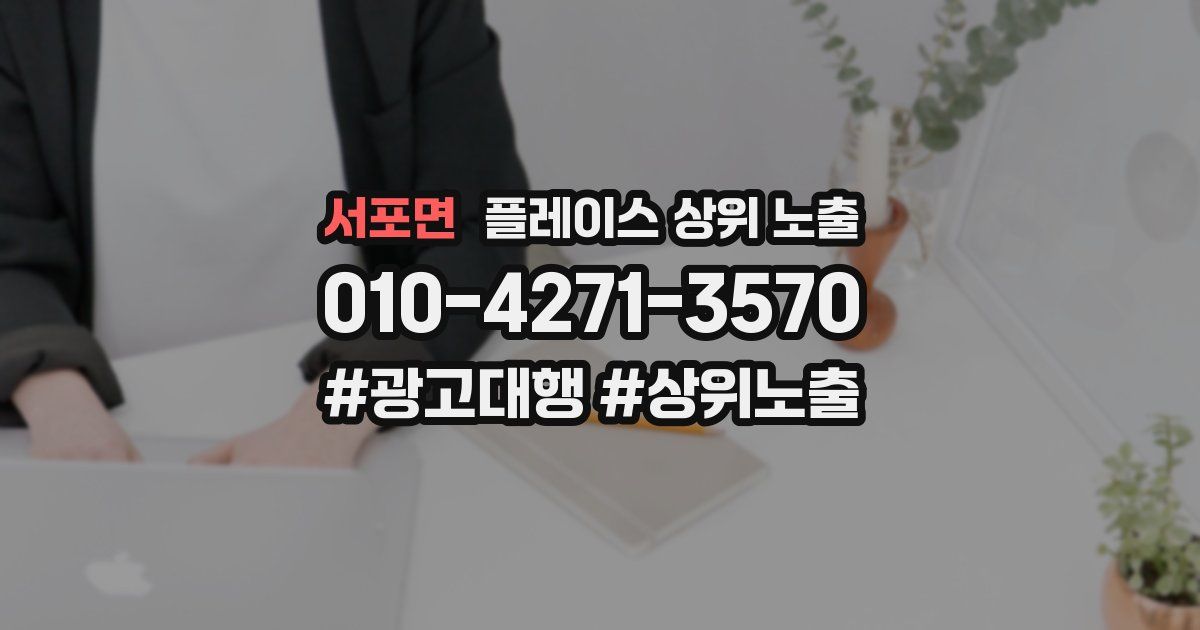 서포면 플레이스 상위 노출