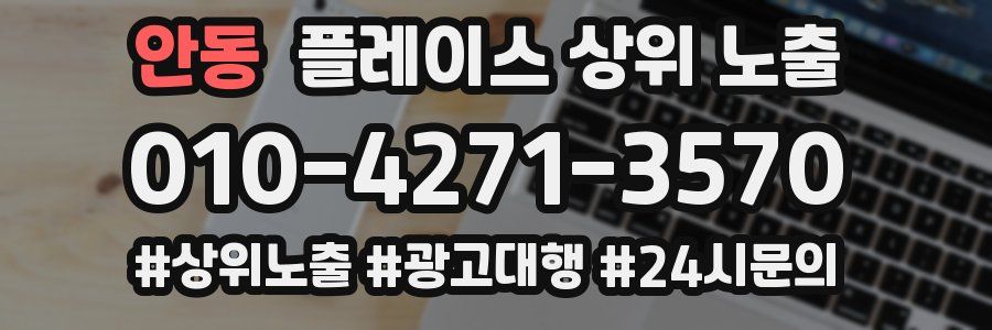안동 플레이스 상위 노출