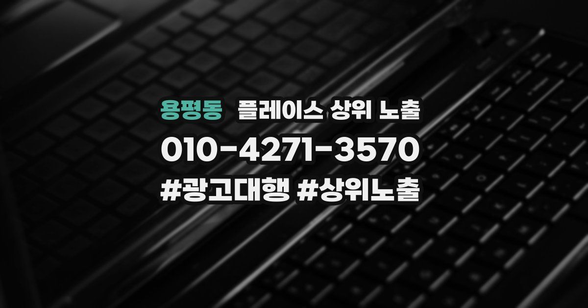 용평동 플레이스 상위 노출