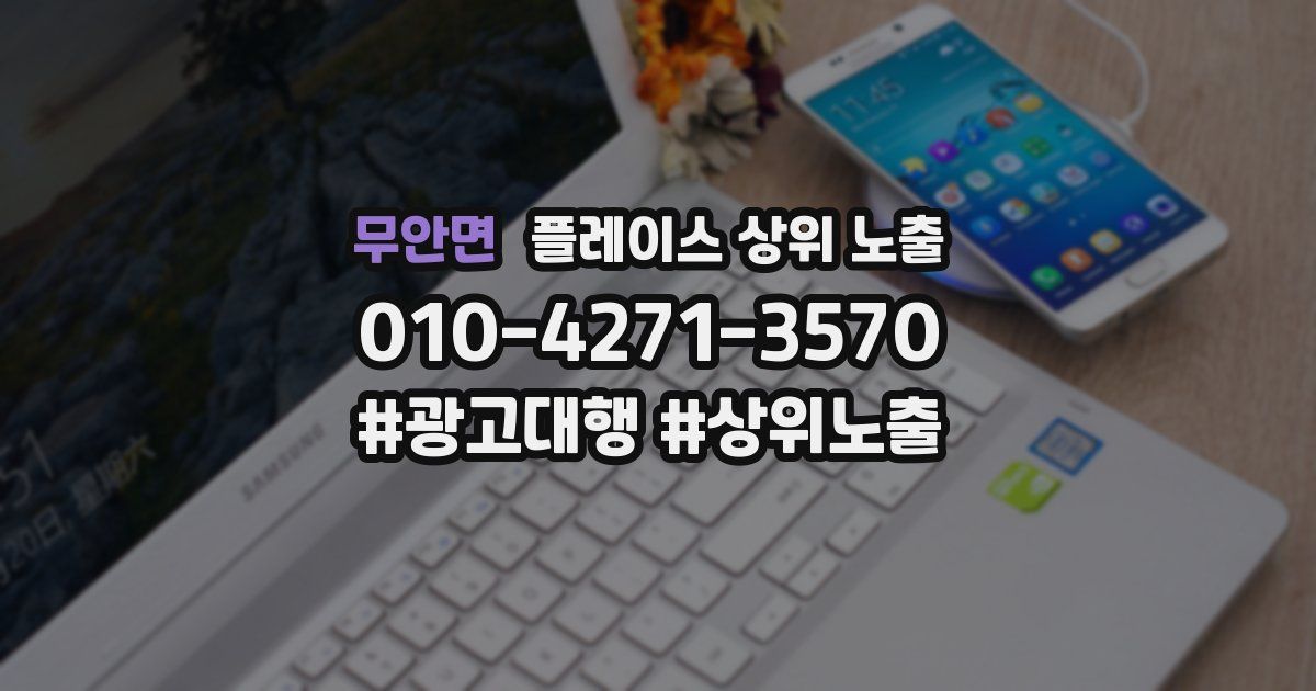 무안면 플레이스 상위 노출