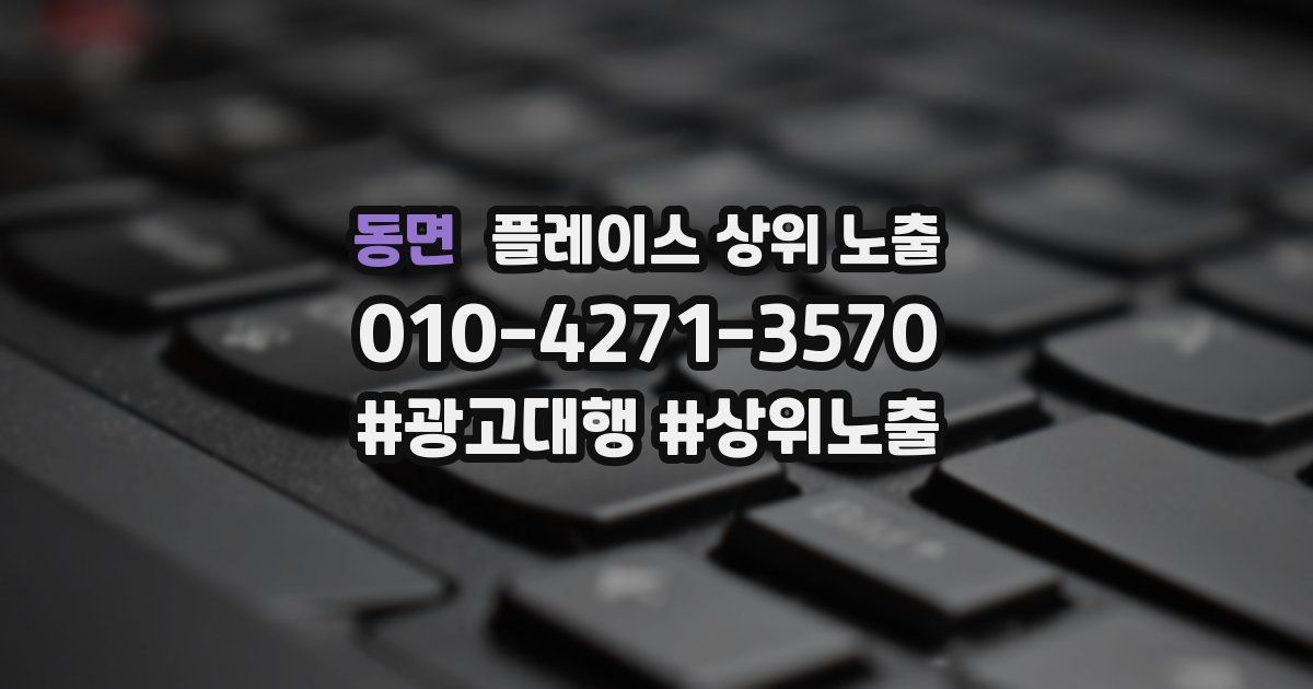 동면 플레이스 상위 노출