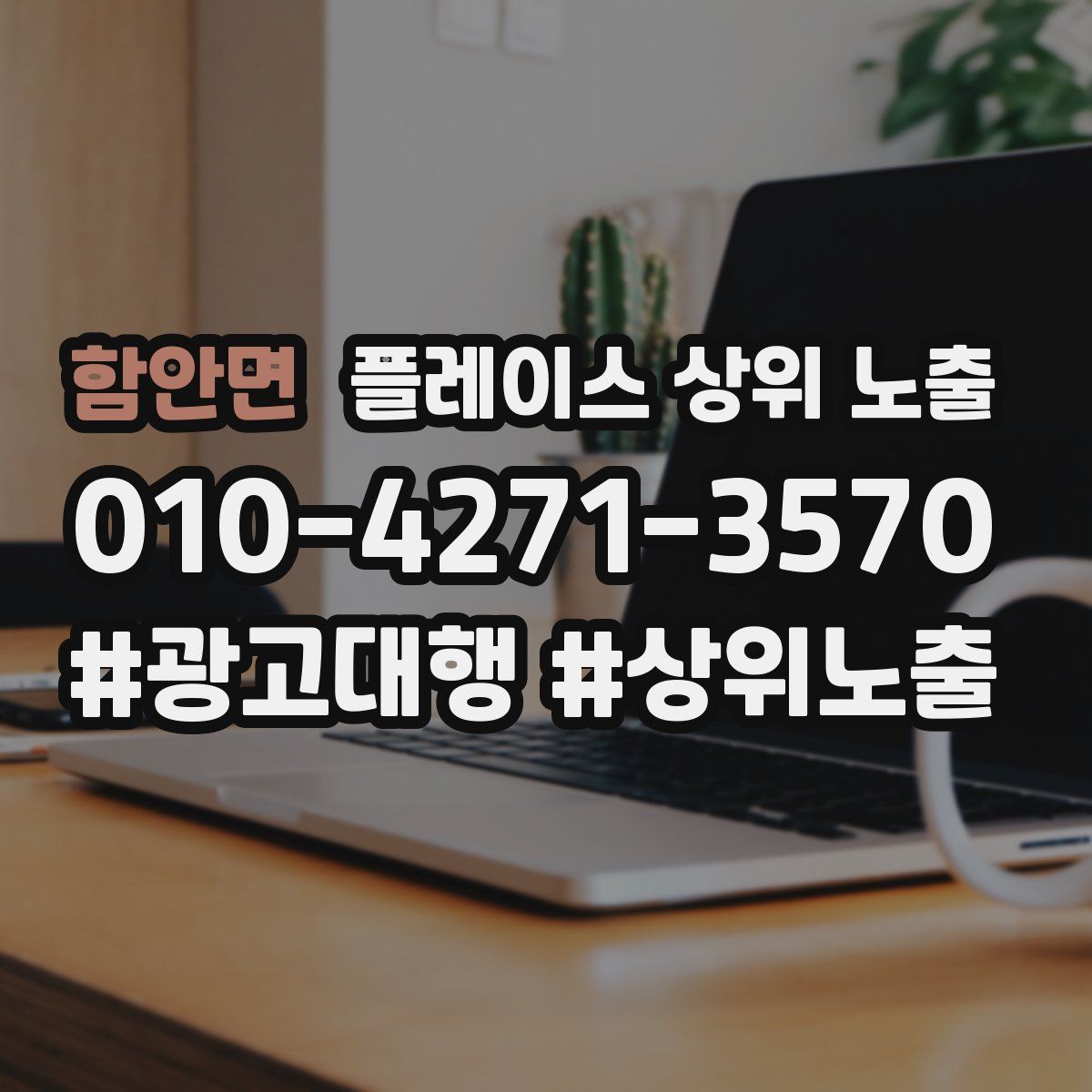 함안면 플레이스 상위 노출