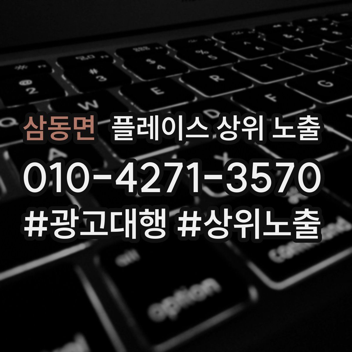 삼동면 플레이스 상위 노출