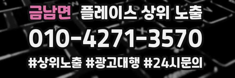 금남면 플레이스 상위 노출