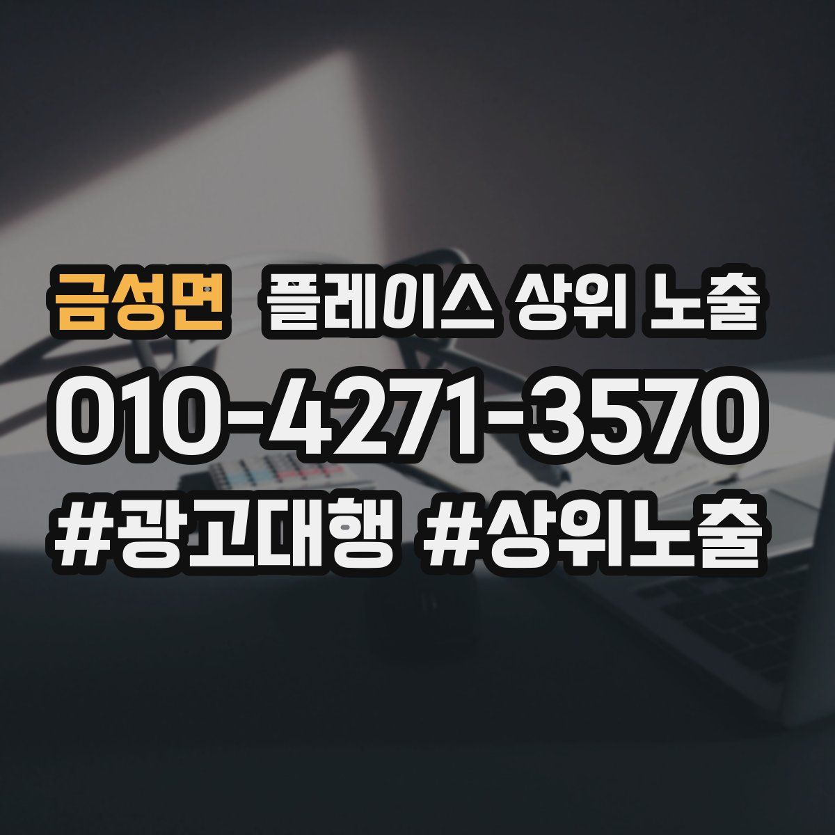 금성면 플레이스 상위 노출