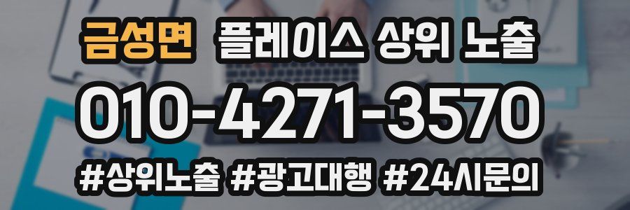 금성면 플레이스 상위 노출
