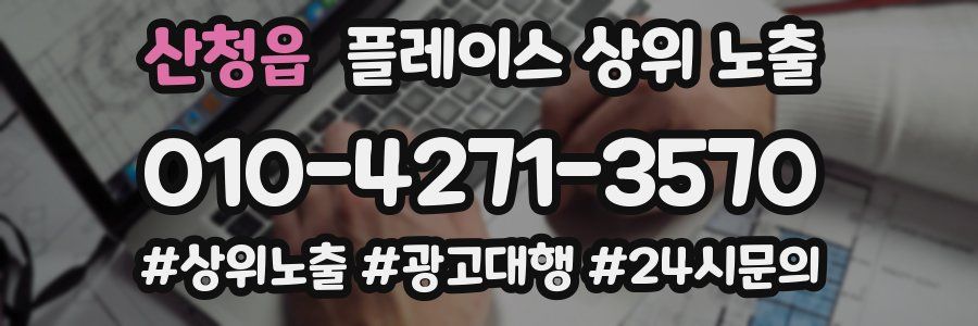 산청읍 플레이스 상위 노출