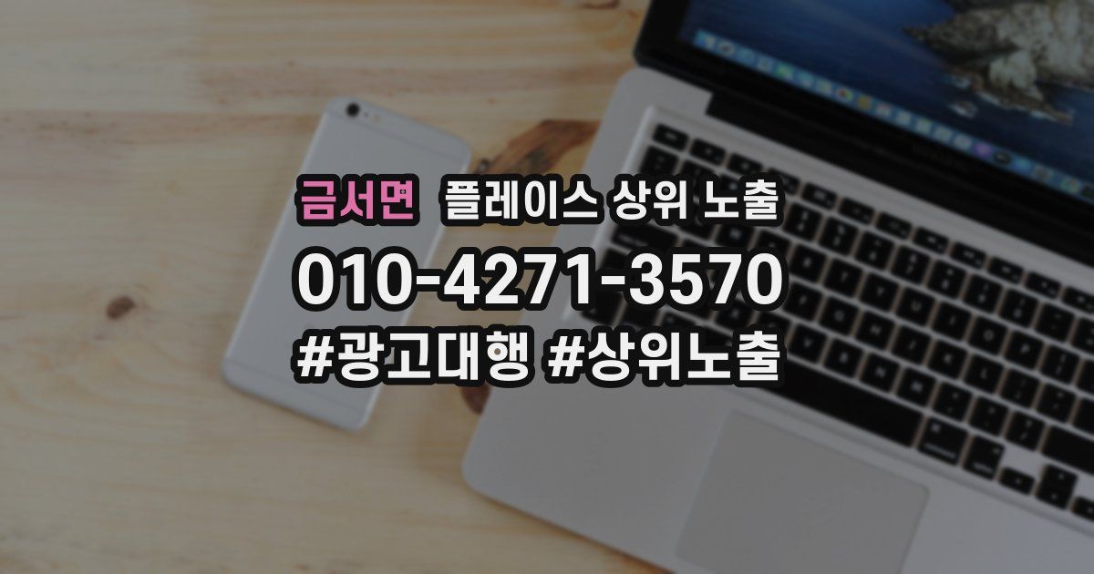 금서면 플레이스 상위 노출