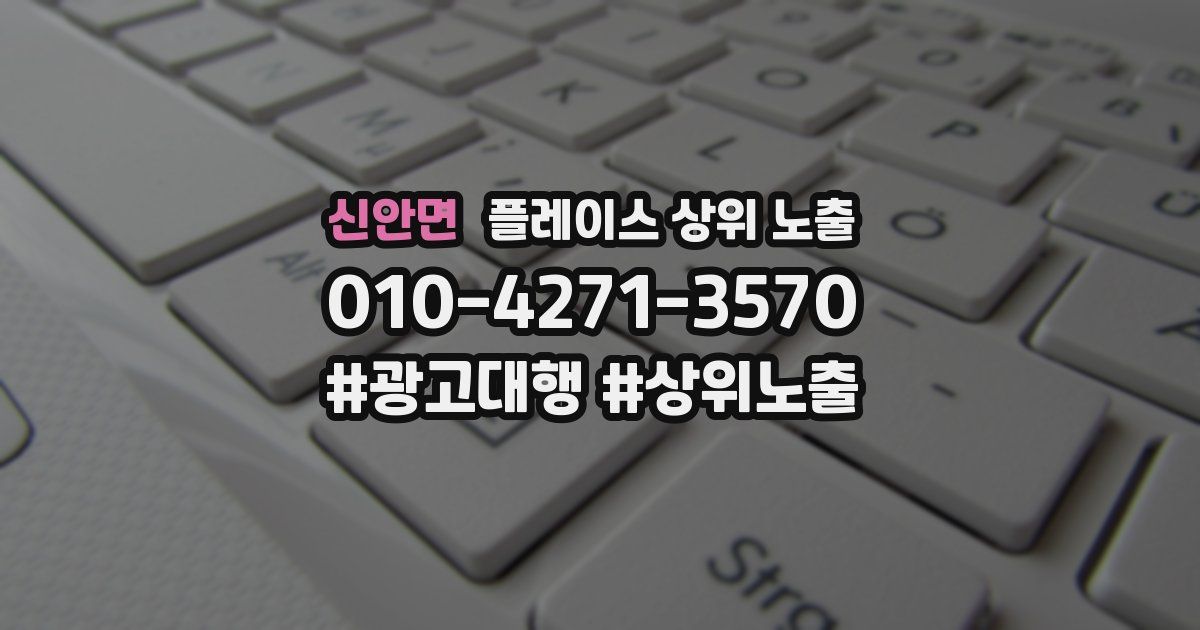 신안면 플레이스 상위 노출