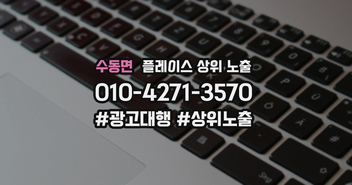 수동면 플레이스 상위 노출
