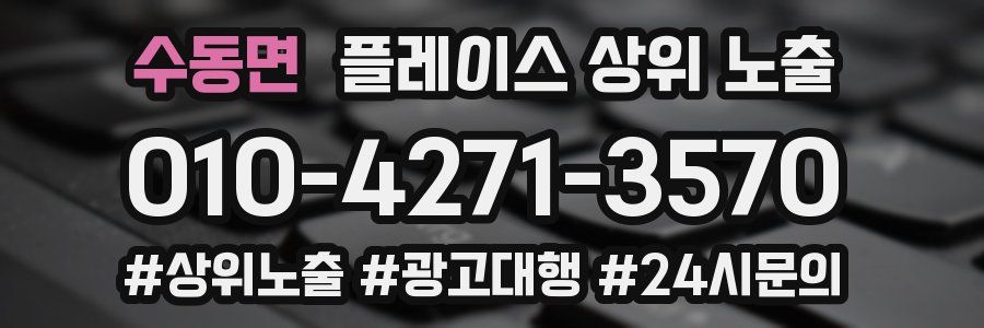 수동면 플레이스 상위 노출