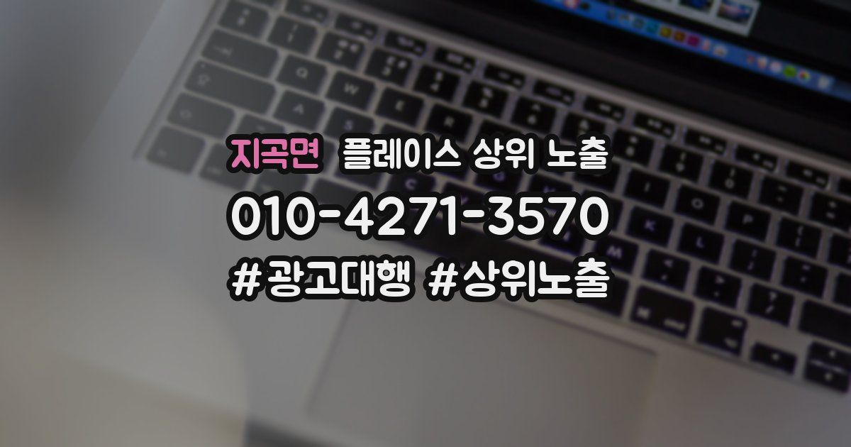 지곡면 플레이스 상위 노출