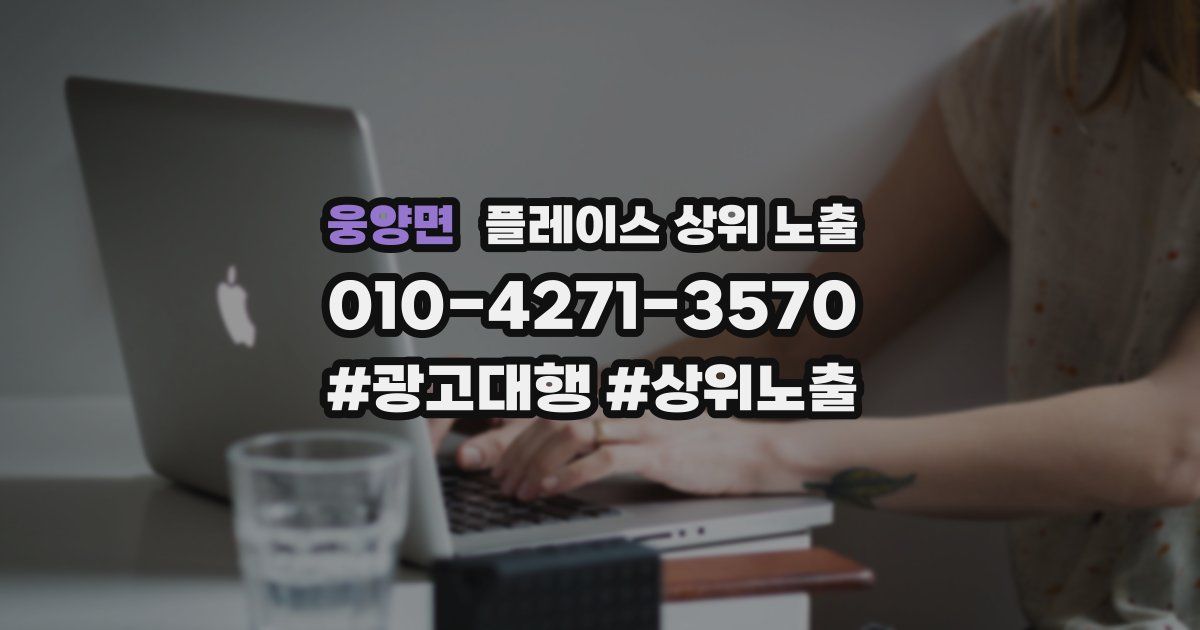 웅양면 플레이스 상위 노출