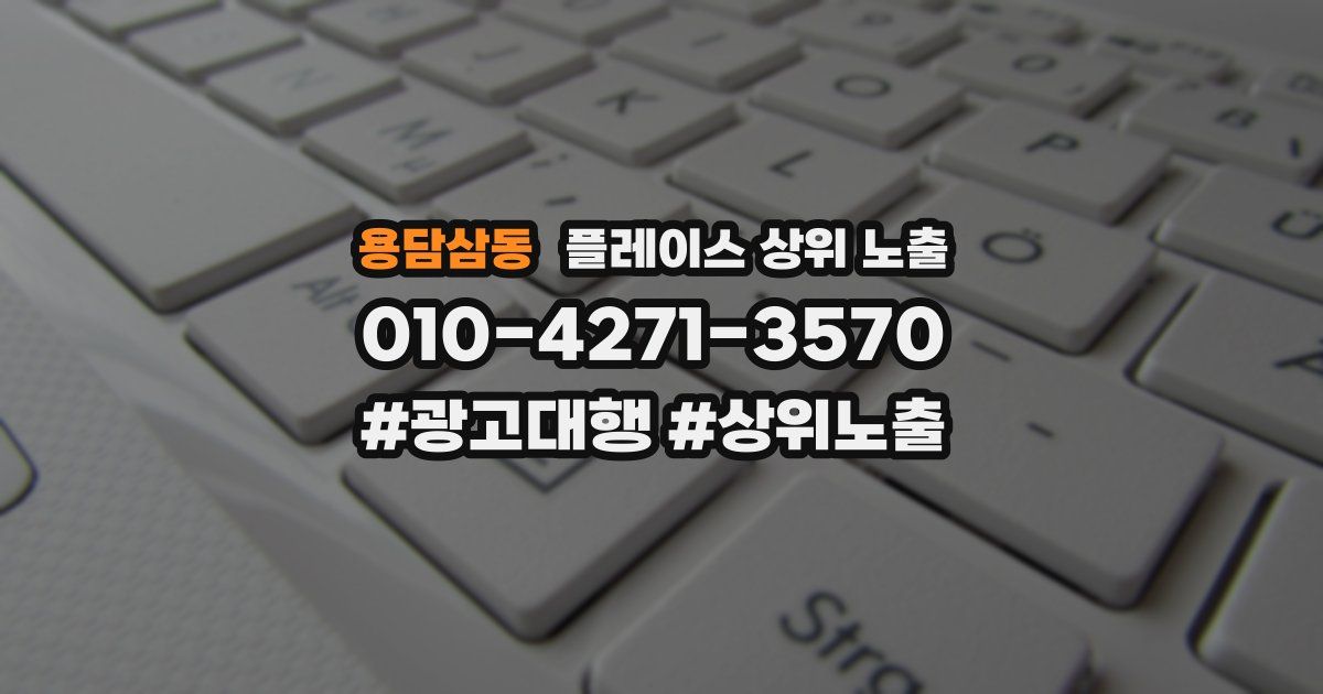 용담삼동 플레이스 상위 노출
