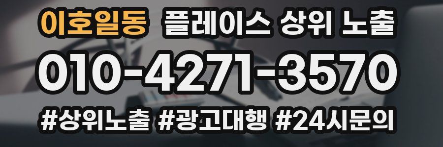 이호일동 플레이스 상위 노출