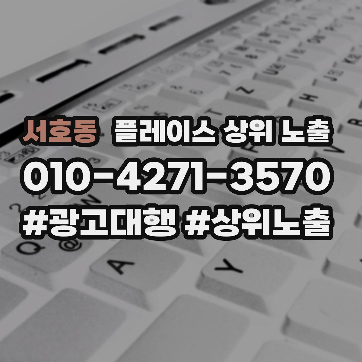 서호동 플레이스 상위 노출