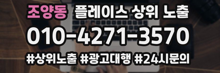 조양동 플레이스 상위 노출