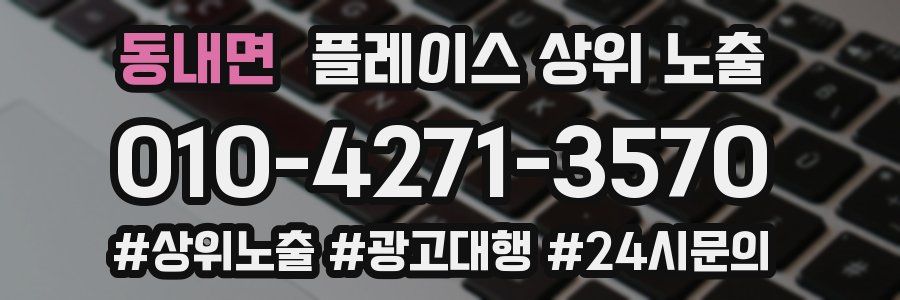 동내면 플레이스 상위 노출