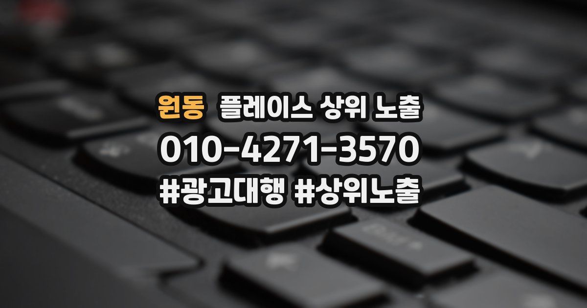 원동 플레이스 상위 노출