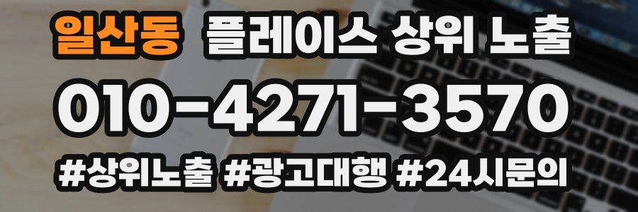 일산동 플레이스 상위 노출