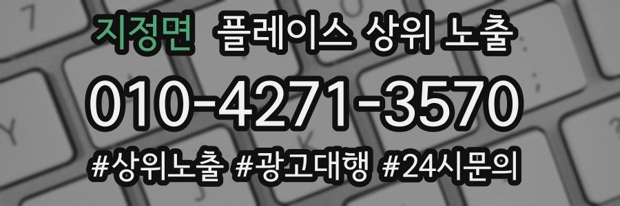 지정면 플레이스 상위 노출