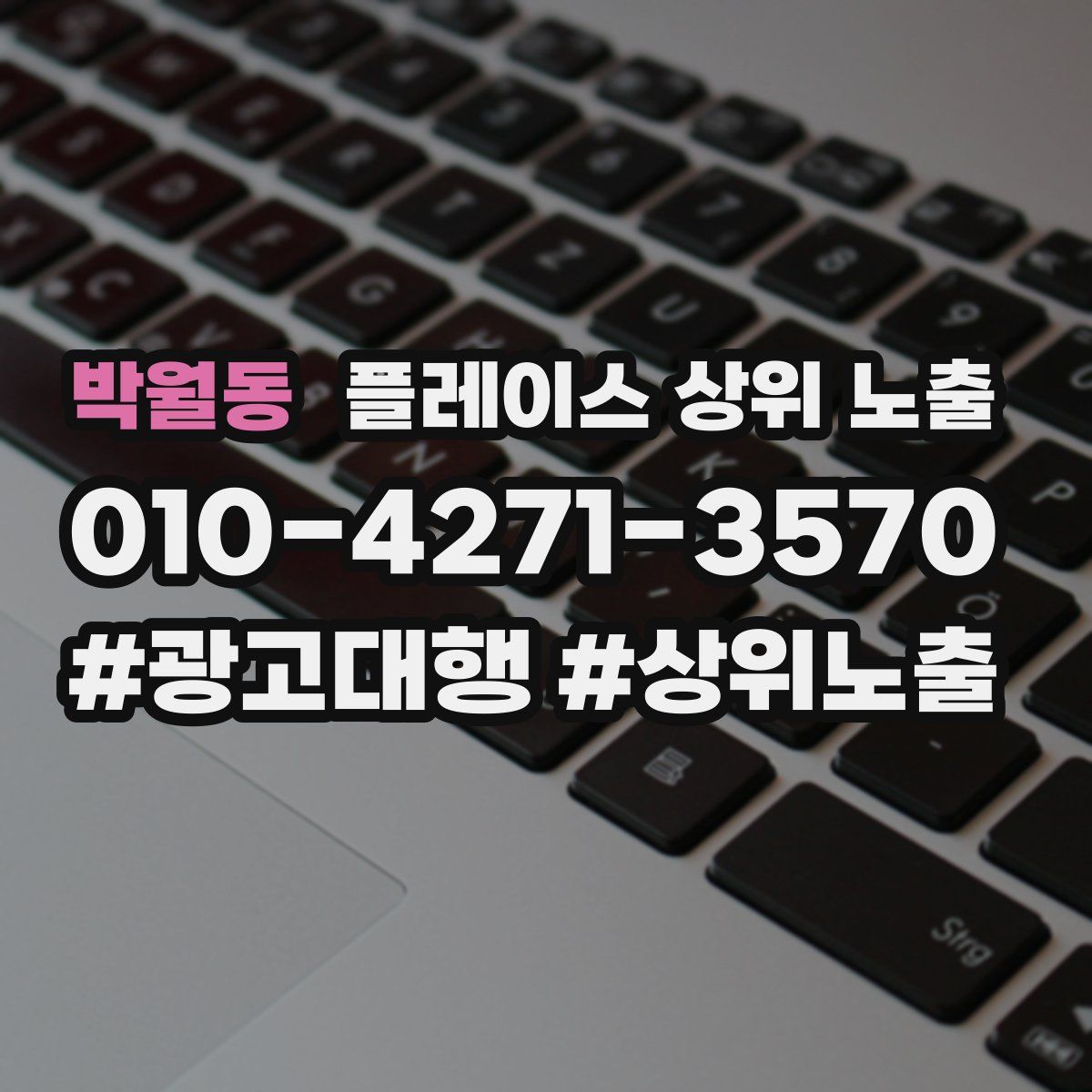박월동 플레이스 상위 노출