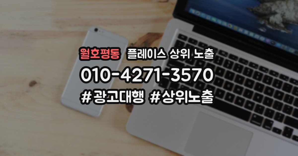 월호평동 플레이스 상위 노출