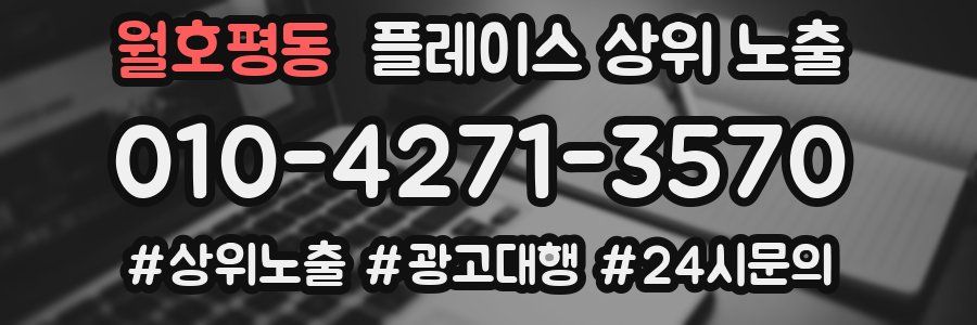 월호평동 플레이스 상위 노출
