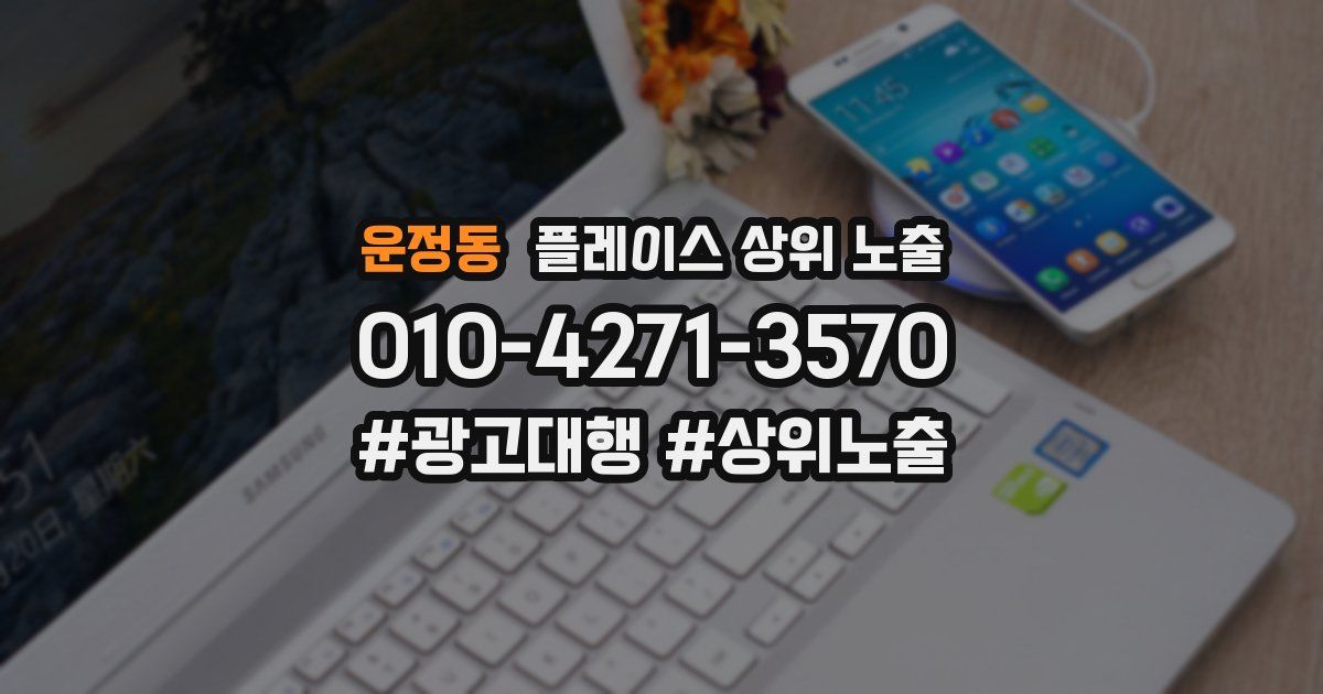 운정동 플레이스 상위 노출