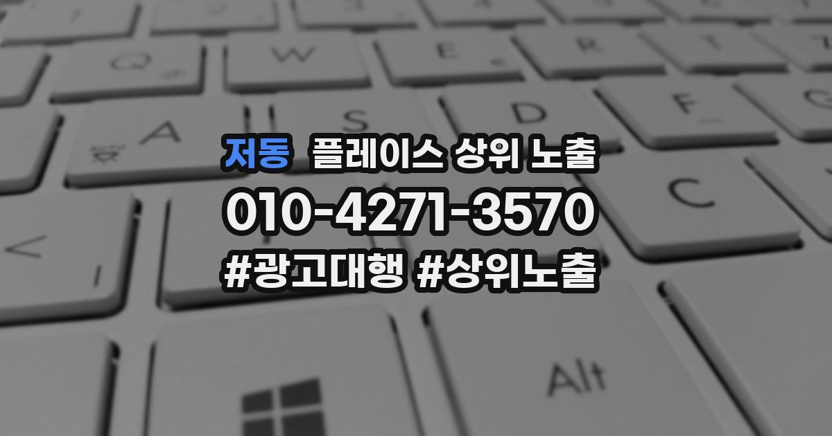 저동 플레이스 상위 노출