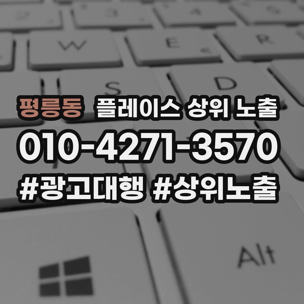 평릉동 플레이스 상위 노출