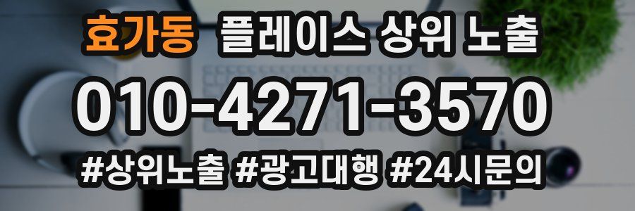 효가동 플레이스 상위 노출