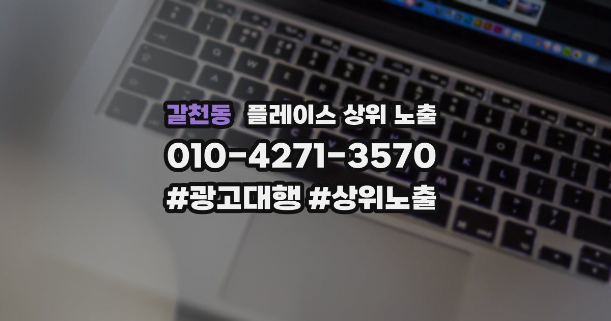 갈천동 플레이스 상위 노출