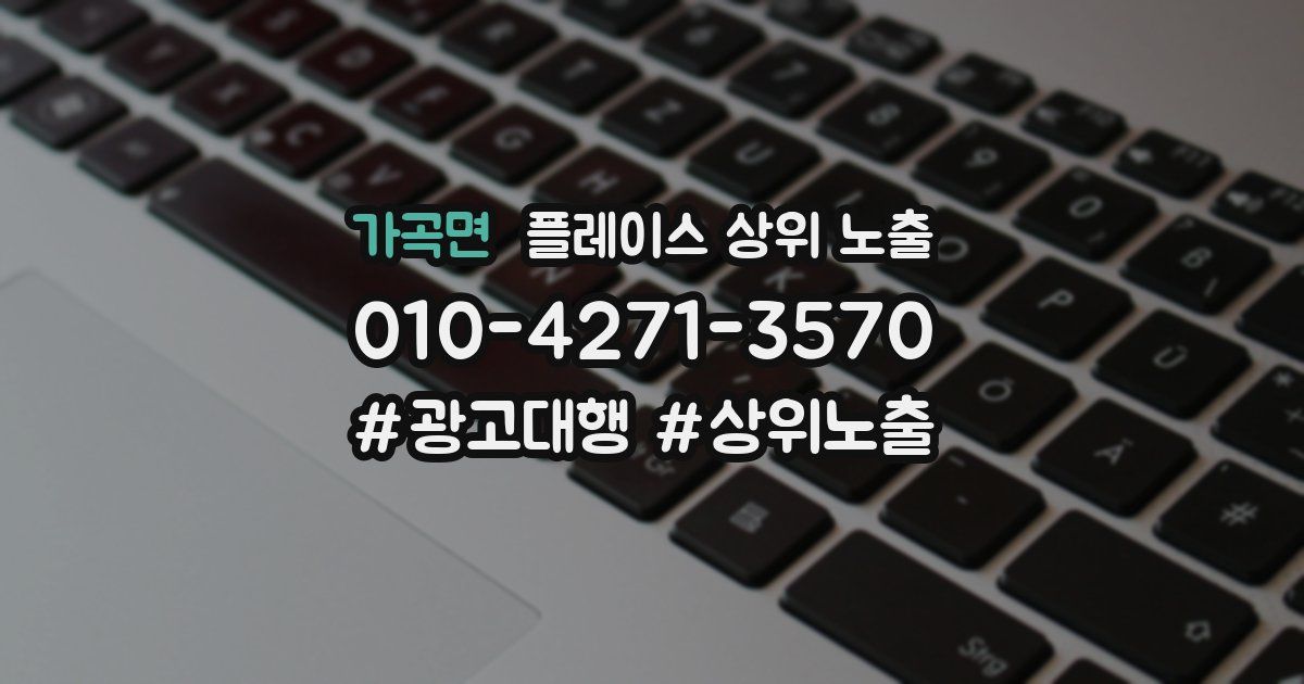 가곡면 플레이스 상위 노출