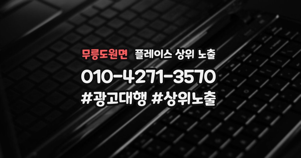 무릉도원면 플레이스 상위 노출