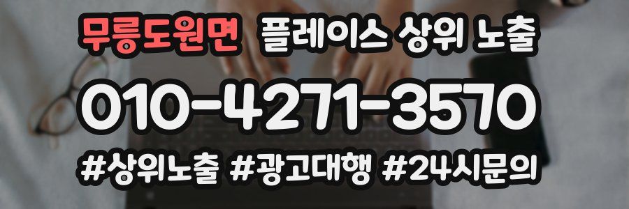 무릉도원면 플레이스 상위 노출