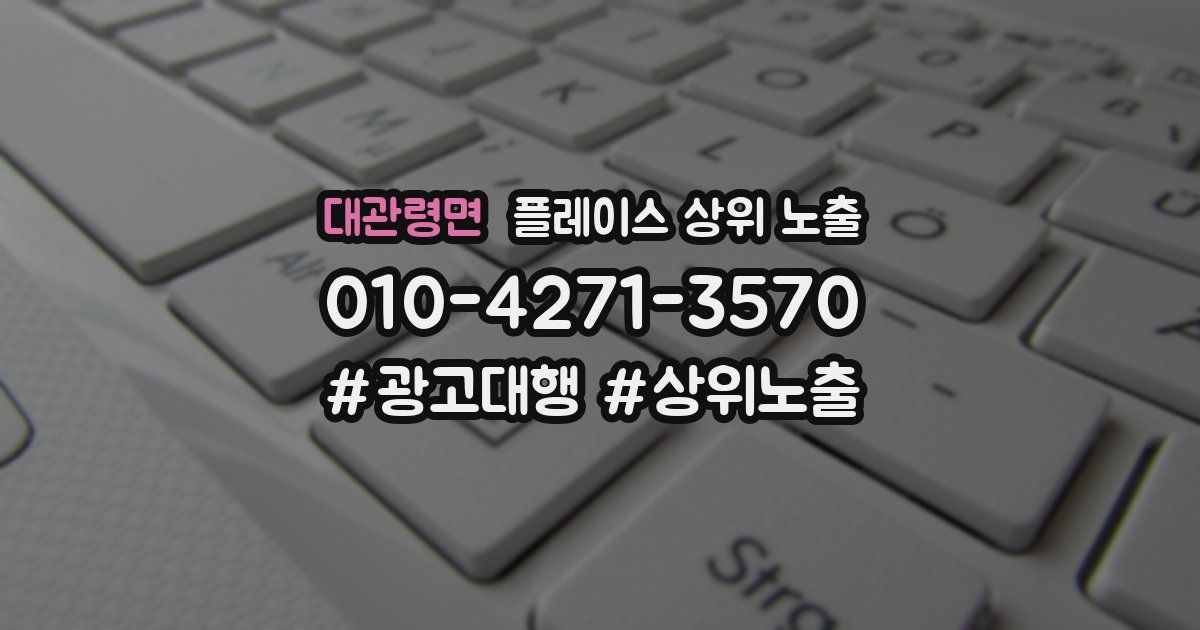 대관령면 플레이스 상위 노출