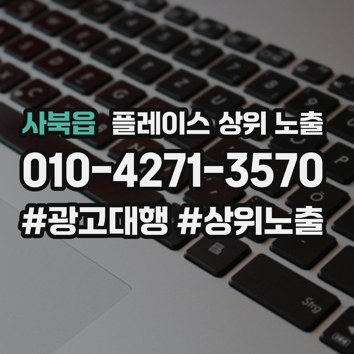 사북읍 플레이스 상위 노출