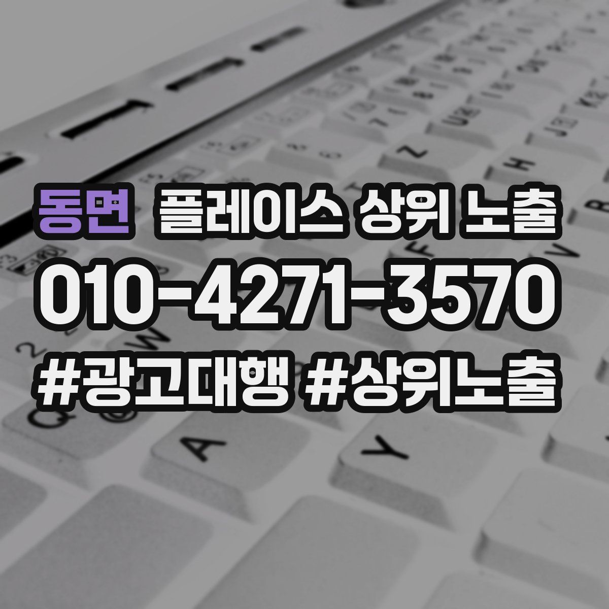 동면 플레이스 상위 노출