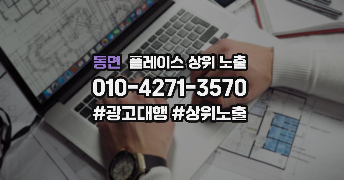 동면 플레이스 상위 노출